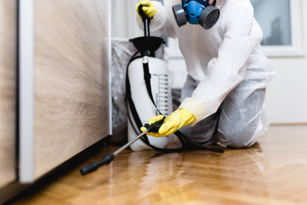 Best Pest Inspection Near Me  in Campbell, OH