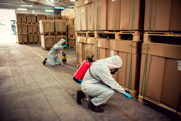 Best Flea Control Services  in Campbell, OH
