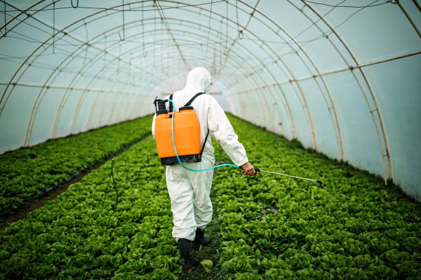 Best Affordable Pest Control Services  in Campbell, OH