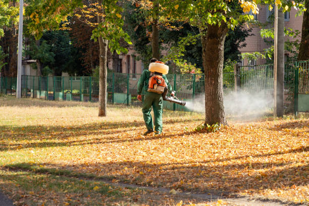 Best Local Pest Control Services  in Campbell, OH